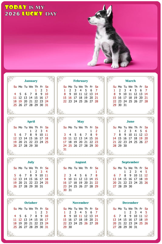 2026 Magnetic Calendar - Today is My Lucky Day (Fade, Tear, and Water Resistant)- Dogs Themed 023