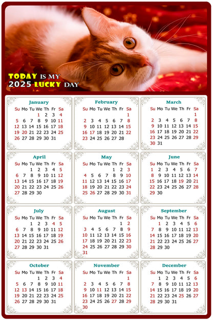 2025 Peel & Stick Calendar - Today is my Lucky Day Removable - Cat 07 (12"x 8")