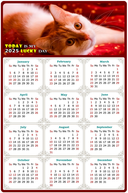 2025 Peel & Stick Calendar - Today is my Lucky Day Removable - Cat 07 (12"x 8")