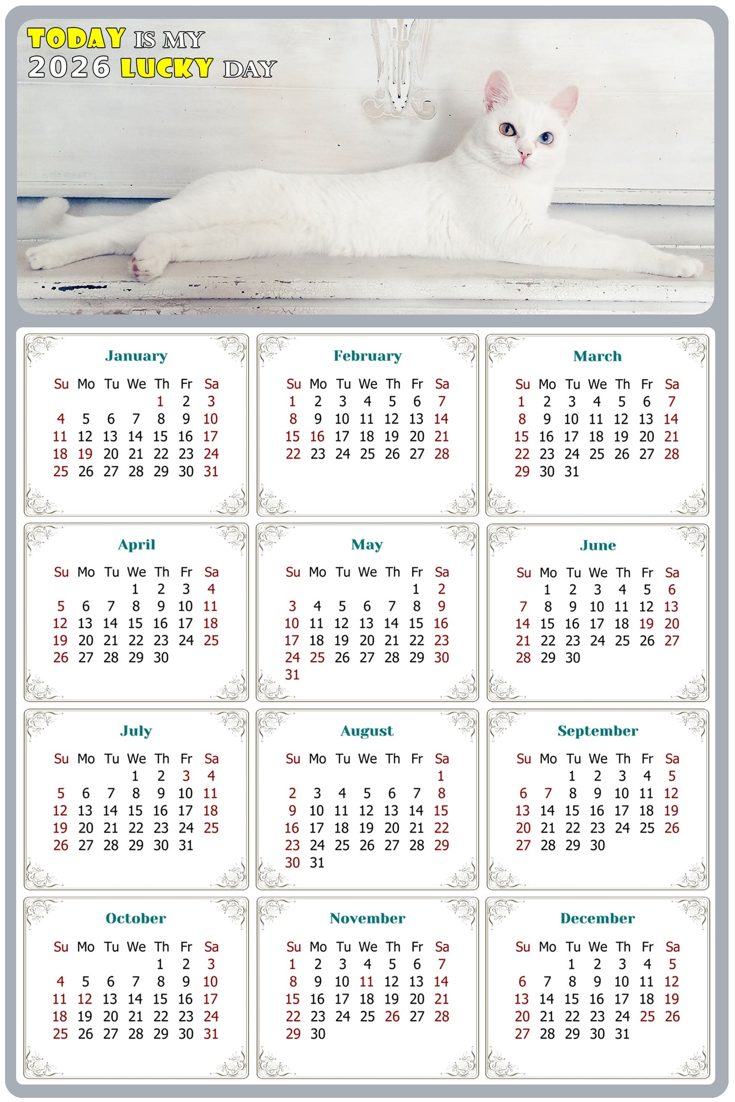 2026 Magnetic Calendar - Today is My Lucky Day (Fade, Tear, and Water Resistant)- Cat Themed 06