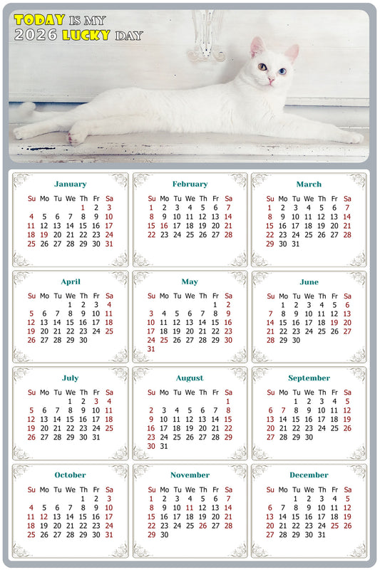 2026 Magnetic Calendar - Today is My Lucky Day (Fade, Tear, and Water Resistant)- Cat Themed 06