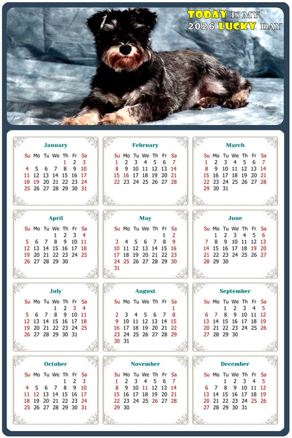 2026 Magnetic Calendar - Today is My Lucky Day (Fade, Tear, and Water Resistant)- Dogs Themed 010
