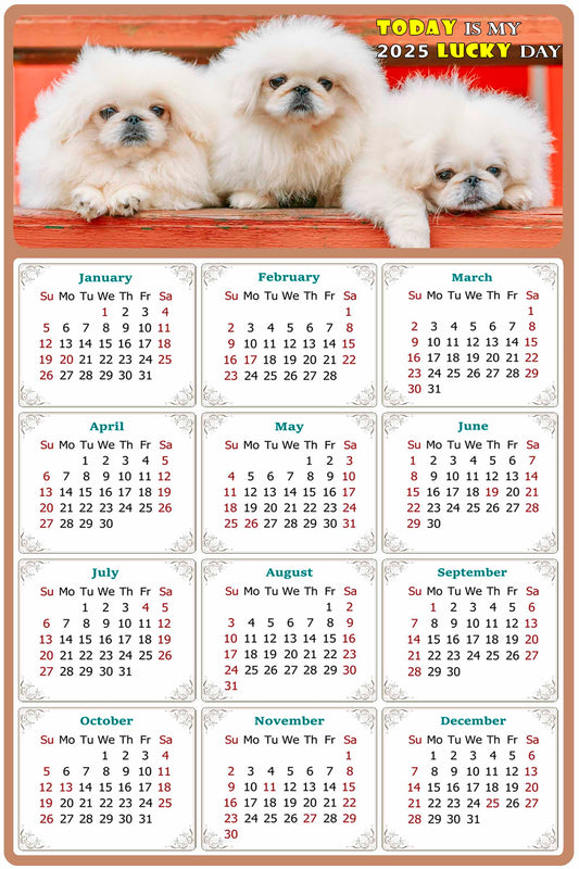 2025 Peel & Stick Calendar - Today is my Lucky Day Removable - Dogs 022 (9"x 6")