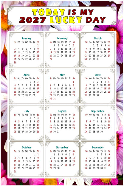2027 Peel & Stick Calendar - Today is my Lucky Day Removable - 032