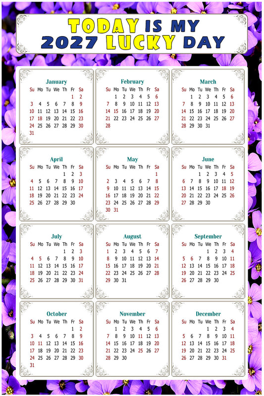 2027 Magnetic Calendar - Calendar Magnets - Today is my Lucky Day - (Fade, Tear, and Water Resistant) - Themed 026