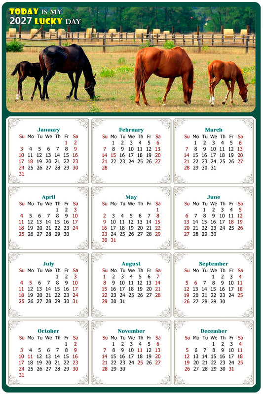 2027 Peel & Stick Calendar - Today is my Lucky Day Removable - Horses 010 (12"x 8")