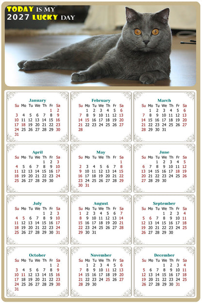 2027 Peel & Stick Calendar - Today is my Lucky Day Removable - Cat 014 (12"x 8")
