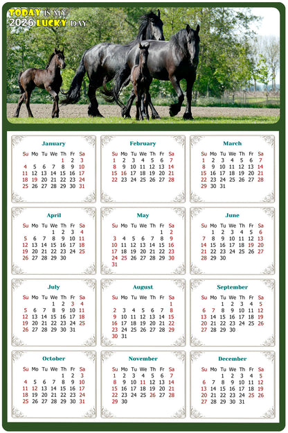 2026 Magnetic Calendar - Calendar Magnets - Today is my Lucky Day - (Fade, Tear, and Water Resistant) - Horses Themed 05