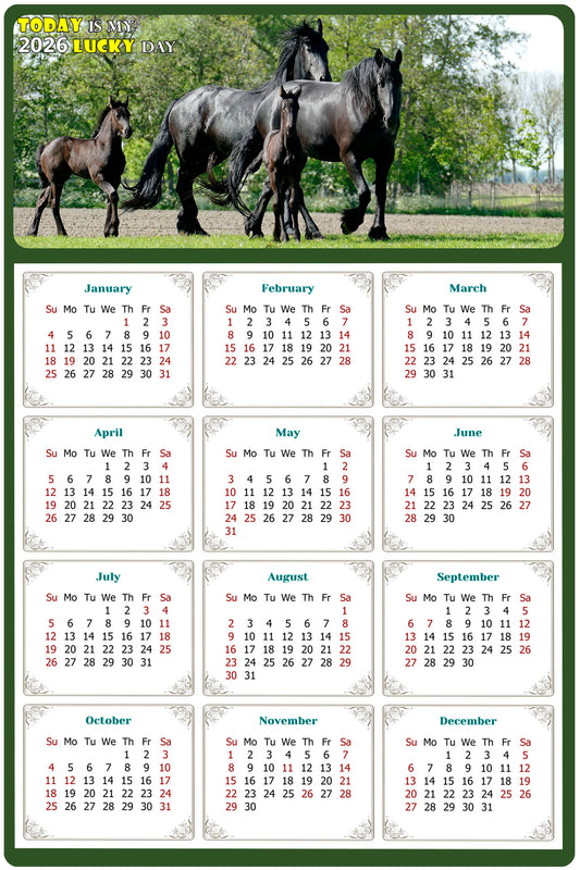 2026 Magnetic Calendar - Calendar Magnets - Today is my Lucky Day - (Fade, Tear, and Water Resistant) - Horses Themed 05