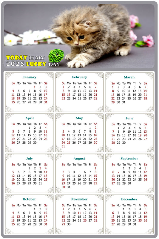 2026 Peel & Stick Calendar - Today is my Lucky Day Removable - Cat 017 (9"x 6")