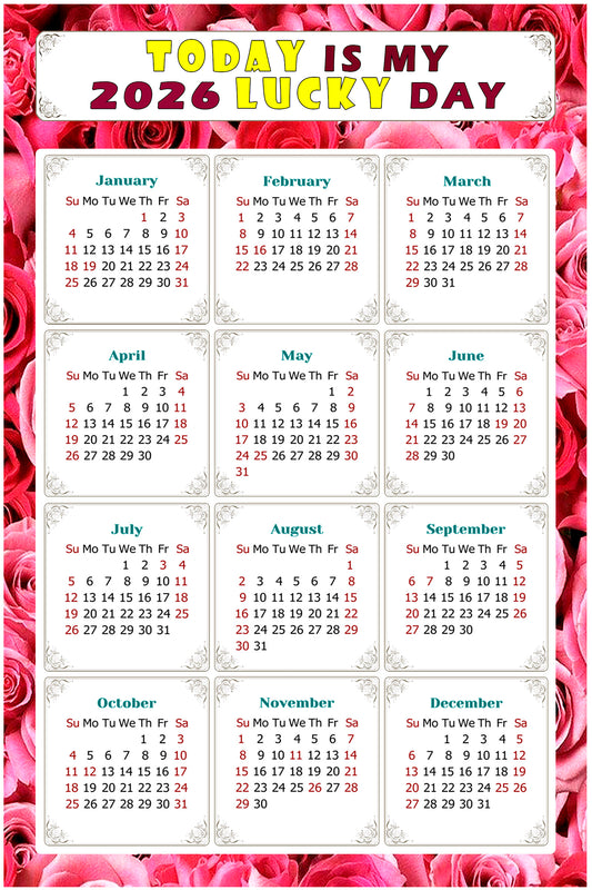 2026 Magnetic Calendar - Calendar Magnets - Today is my Lucky Day - (Fade, Tear, and Water Resistant) - Themed 028