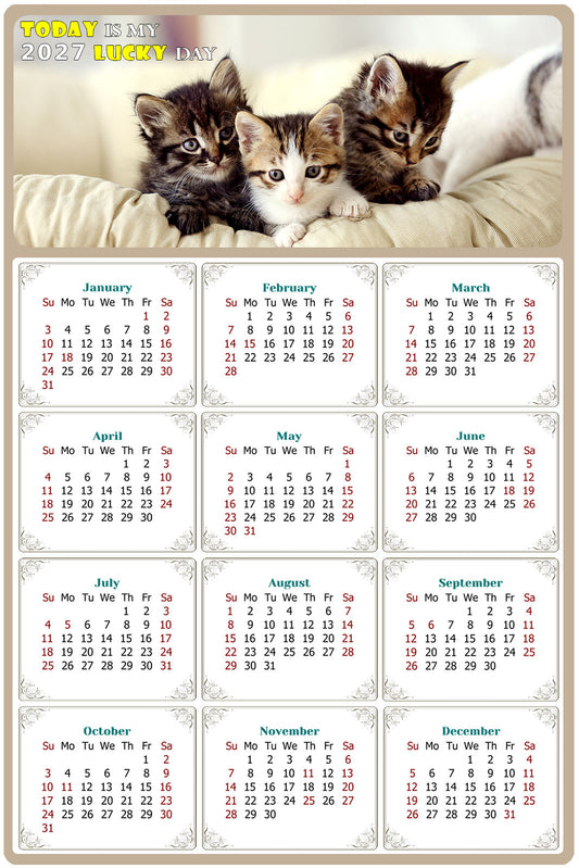 2027 Peel & Stick Calendar - Today is my Lucky Day Removable - Cat 021 (12"x 8")