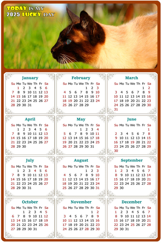 2025 Magnetic Calendar - Today is My Lucky Day (Fade, Tear, and Water Resistant)- Cat Themed 03
