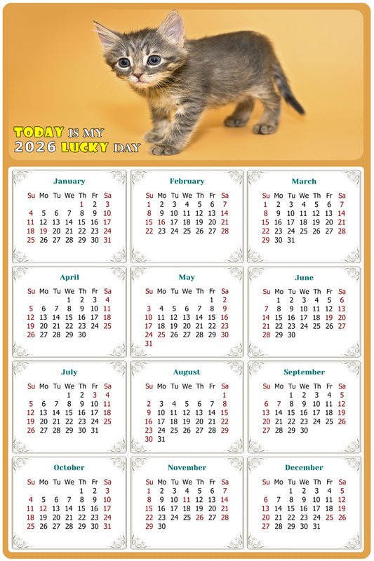 2026 Magnetic Calendar - Today is My Lucky Day (Fade, Tear, and Water Resistant)- Cat Themed 018