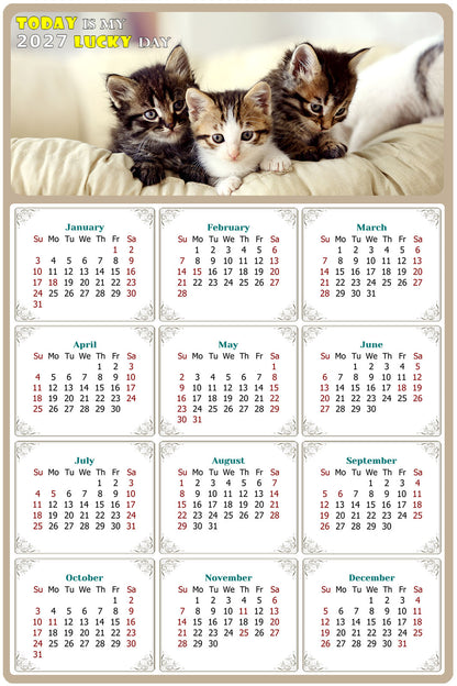2027 Peel & Stick Calendar - Today is my Lucky Day Removable - Cat 021 (9"x 6")