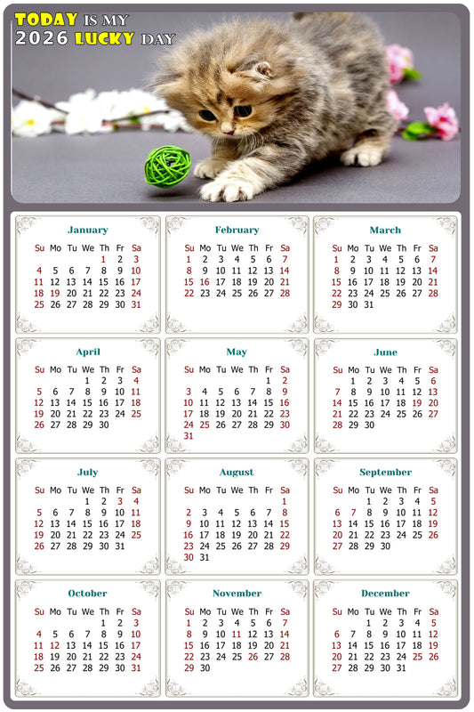 2026 Magnetic Calendar - Today is My Lucky Day (Fade, Tear, and Water Resistant)- Cat Themed 017