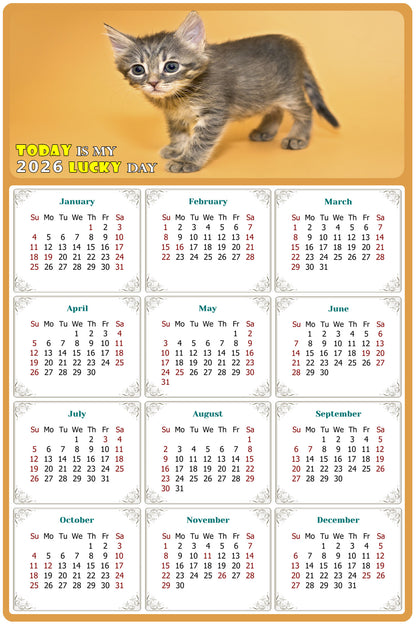 2026 Peel & Stick Calendar - Today is my Lucky Day Removable - Cat 018 (9"x 6")