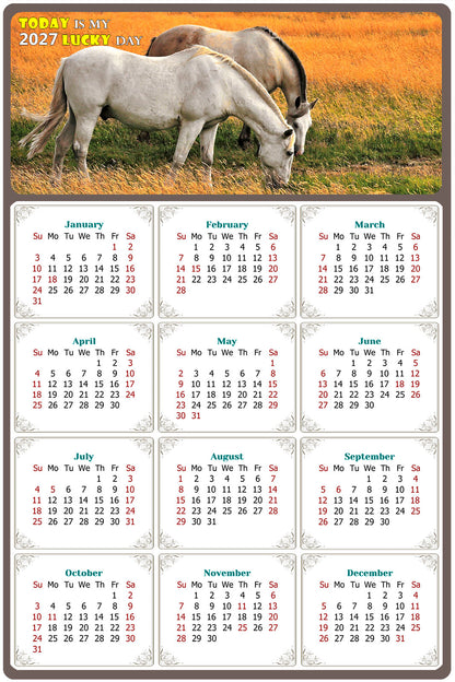 2027 Peel & Stick Calendar - Today is my Lucky Day Removable - Horses 013 (9"x 6")