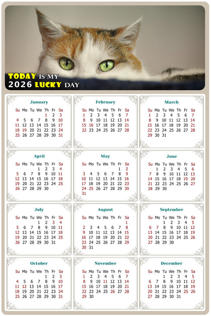 2026 Peel & Stick Calendar - Today is my Lucky Day Removable - Cat 012 (9"x 6")