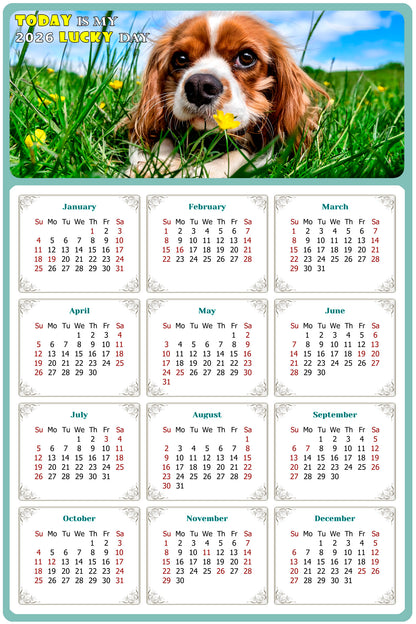 2026 Peel & Stick Calendar - Today is my Lucky Day Removable - Dogs 06 (9"x 6")