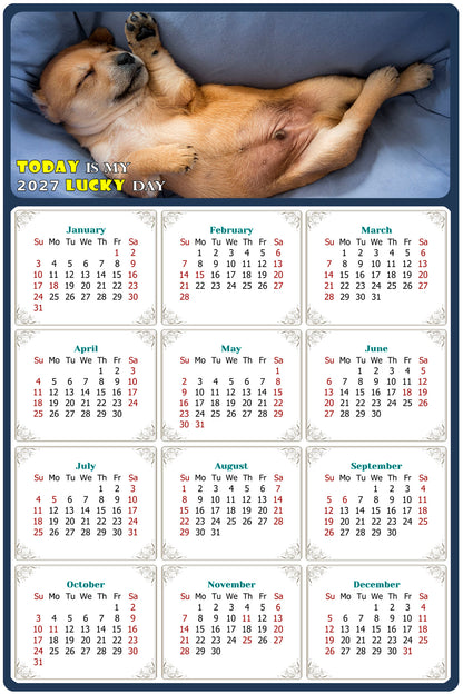 2027 Magnetic Calendar - Today is My Lucky Day (Fade, Tear, and Water Resistant)- Dogs Themed 013