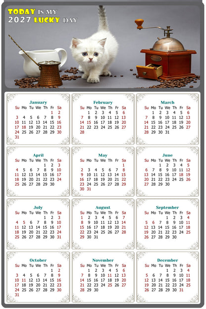 2027 Peel & Stick Calendar - Today is my Lucky Day Removable - Cat 019 (12"x 8")