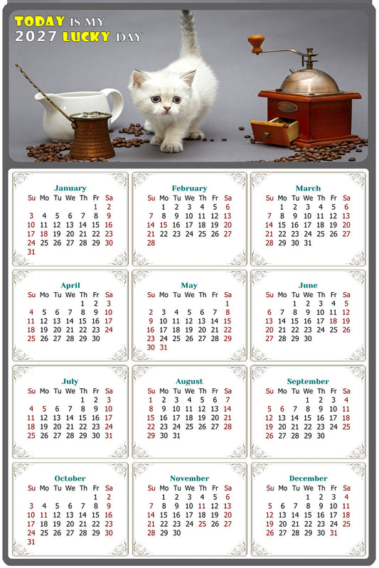 2027 Peel & Stick Calendar - Today is my Lucky Day Removable - Cat 019 (12"x 8")