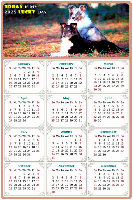 2025 Magnetic Calendar - Today is My Lucky Day (Fade, Tear, and Water Resistant)- Dogs Themed 09