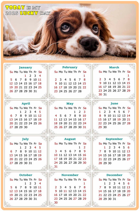 2025 Magnetic Calendar - Today is My Lucky Day (Fade, Tear, and Water Resistant)- Dogs Themed 01