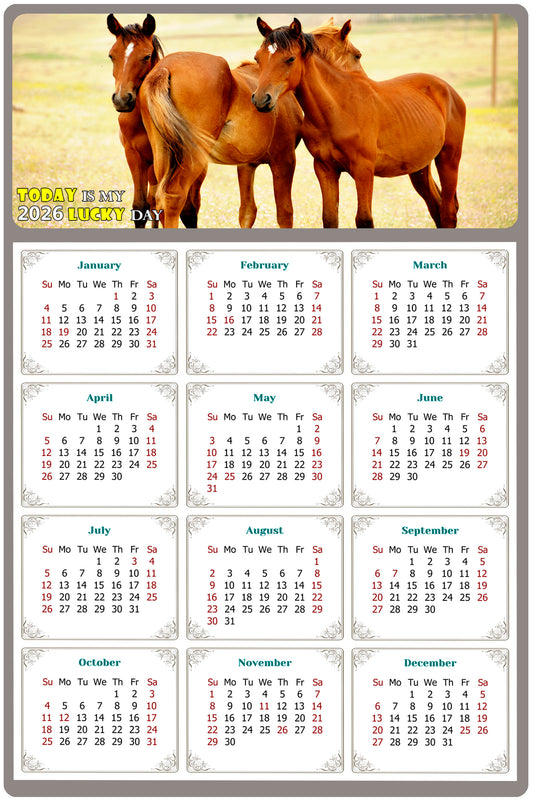 2026 Magnetic Calendar - Calendar Magnets - Today is my Lucky Day - (Fade, Tear, and Water Resistant) - Horses Themed 014