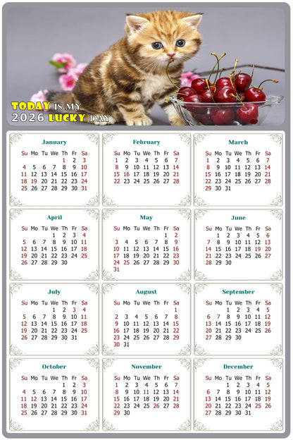 2026 Peel & Stick Calendar - Today is my Lucky Day Removable - Cat 016 (9"x 6")