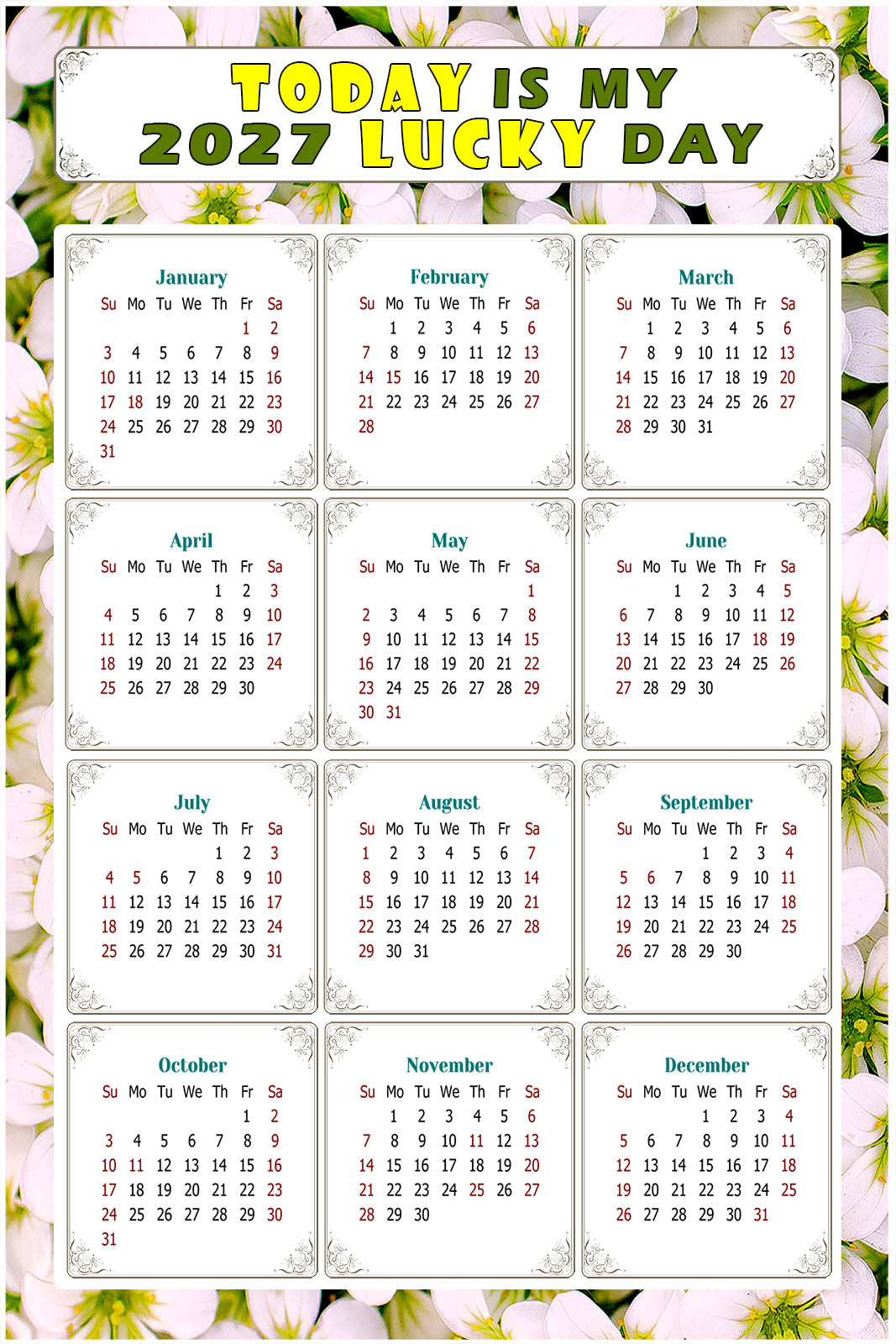 2027 Peel & Stick Calendar - Today is my Lucky Day Removable - 029