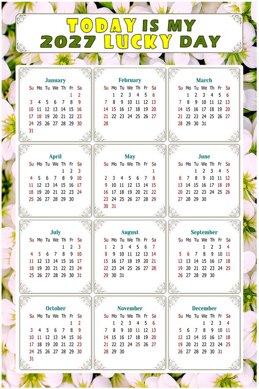 2027 Peel & Stick Calendar - Today is my Lucky Day Removable - 029