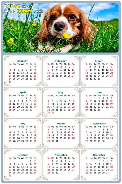 2027 Magnetic Calendar - Today is My Lucky Day (Fade, Tear, and Water Resistant)- Dogs Themed 06