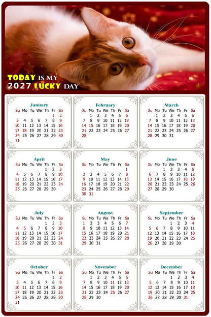 2027 Peel & Stick Calendar - Today is my Lucky Day Removable - Cat 07 (9"x 6")