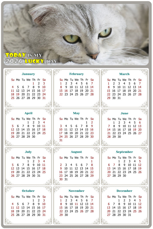 2026 Magnetic Calendar - Today is My Lucky Day (Fade, Tear, and Water Resistant)- Cat Themed 01