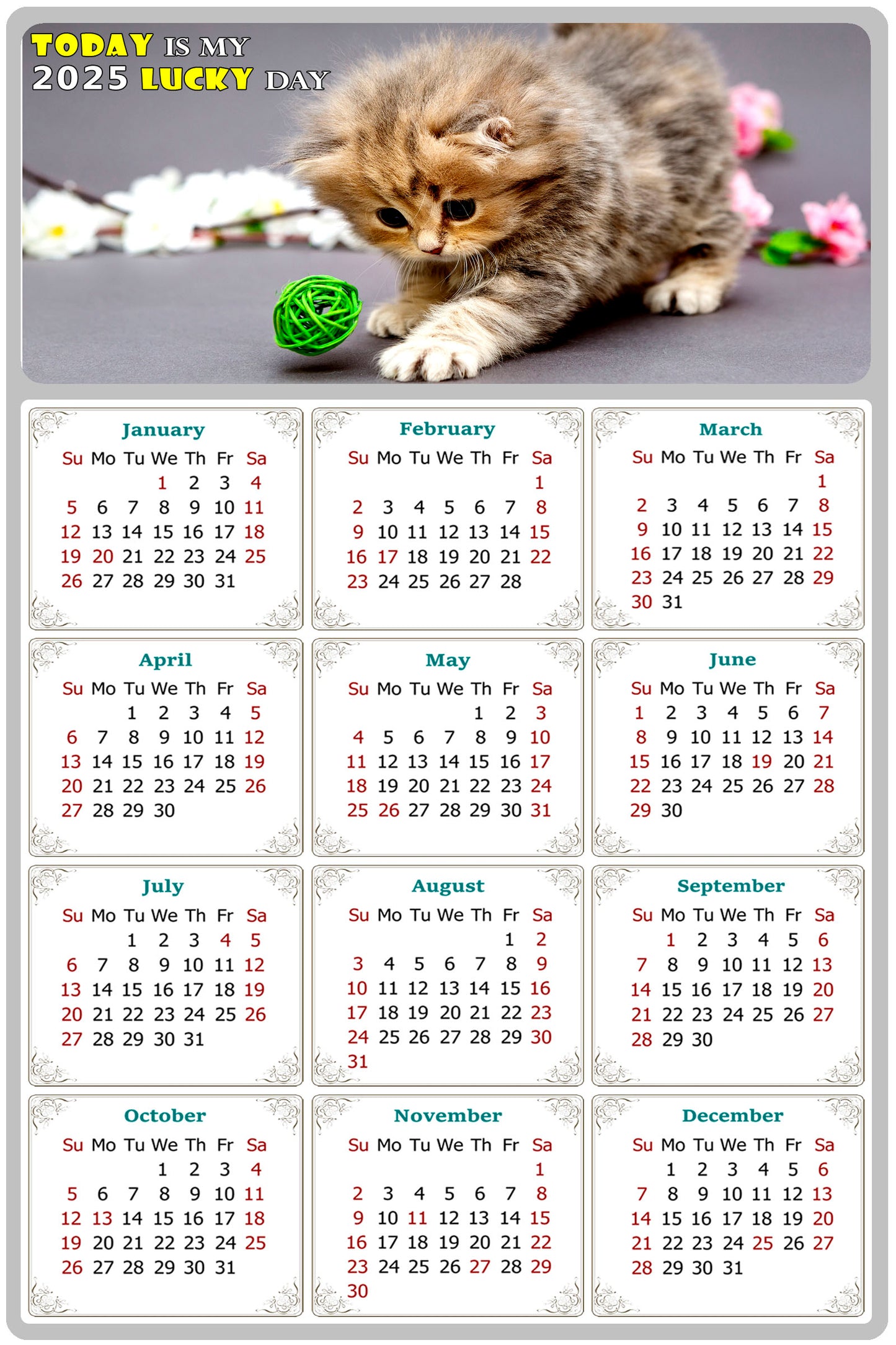 2025 Magnetic Calendar - Today is My Lucky Day (Fade, Tear, and Water Resistant)- Cat Themed 017
