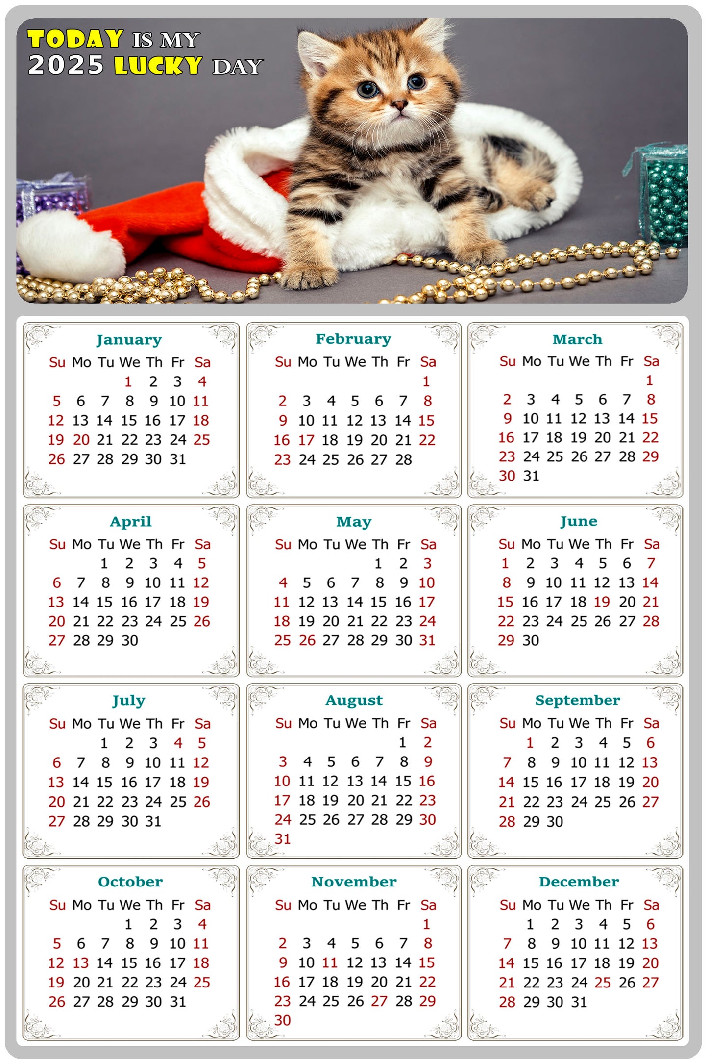 2025 Magnetic Calendar - Today is My Lucky Day (Fade, Tear, and Water Resistant)- Cat Themed 023