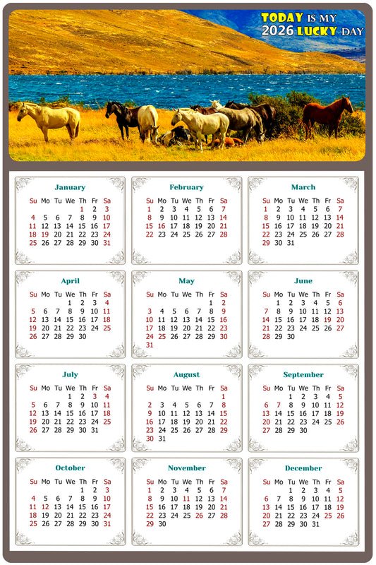 2026 Magnetic Calendar - Calendar Magnets - Today is my Lucky Day - (Fade, Tear, and Water Resistant) - Horses Themed 012