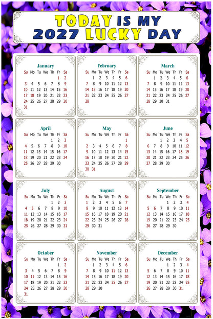 2027 Peel & Stick Calendar - Today is my Lucky Day Removable - 026