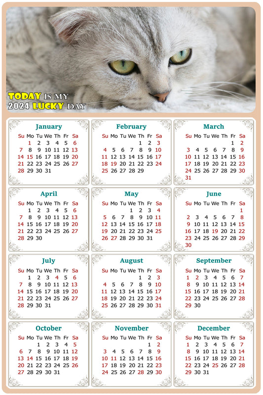 2024 Magnetic Calendar - Today is My Lucky Day (Fade, Tear, and Water Resistant)- Cat Themed 01