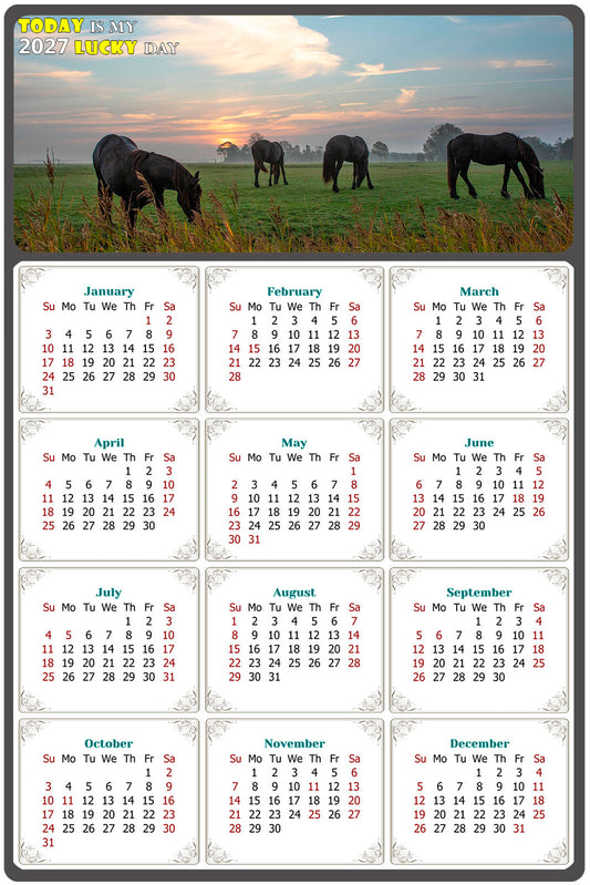2027 Peel & Stick Calendar - Today is my Lucky Day Removable - Horses 04 (12"x 8")