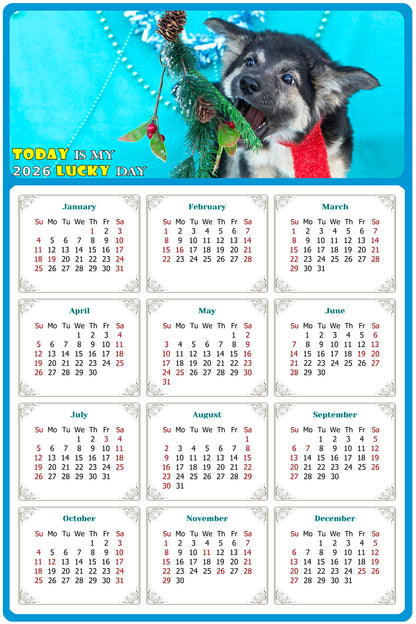2026 Peel & Stick Calendar - Today is my Lucky Day Removable - Dogs 020 (9"x 6")