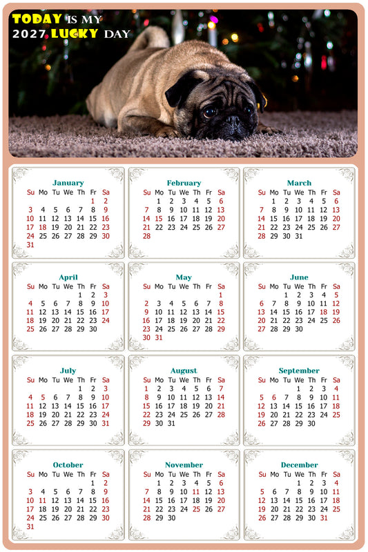 2027 Magnetic Calendar - Today is My Lucky Day (Fade, Tear, and Water Resistant)- Dogs Themed 02