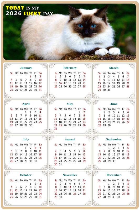 2026 Magnetic Calendar - Today is My Lucky Day (Fade, Tear, and Water Resistant)- Cat Themed 02