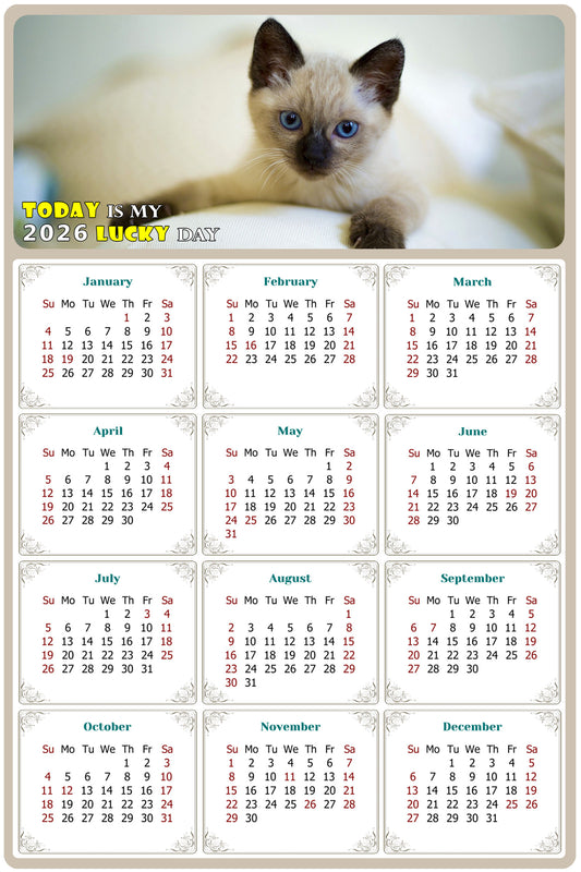 2026 Peel & Stick Calendar - Today is my Lucky Day Removable - Cat 013 (12"x 8")