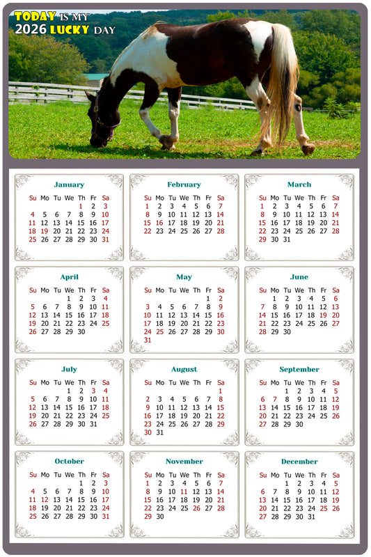 2026 Peel & Stick Calendar - Today is my Lucky Day Removable - Horses 020 (12"x 8")
