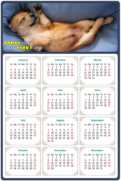 2026 Magnetic Calendar - Today is My Lucky Day (Fade, Tear, and Water Resistant)- Dogs Themed 013