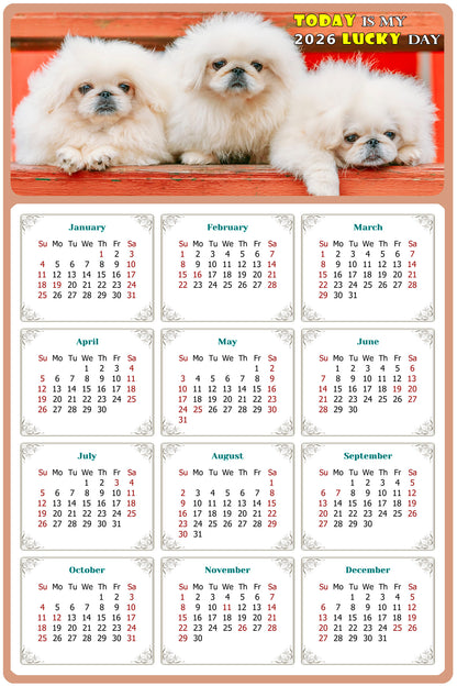 2026 Magnetic Calendar - Today is My Lucky Day (Fade, Tear, and Water Resistant)- Dogs Themed 022