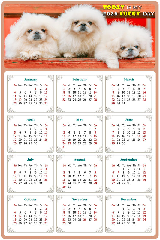 2026 Magnetic Calendar - Today is My Lucky Day (Fade, Tear, and Water Resistant)- Dogs Themed 022